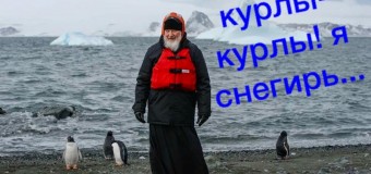 Патриарх Кирилл крестит пингвинов в новой компьютерной игре. Фото
