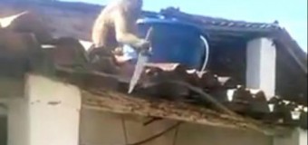 Смешная обезьянка устроила настоящий переполох в баре. Видео