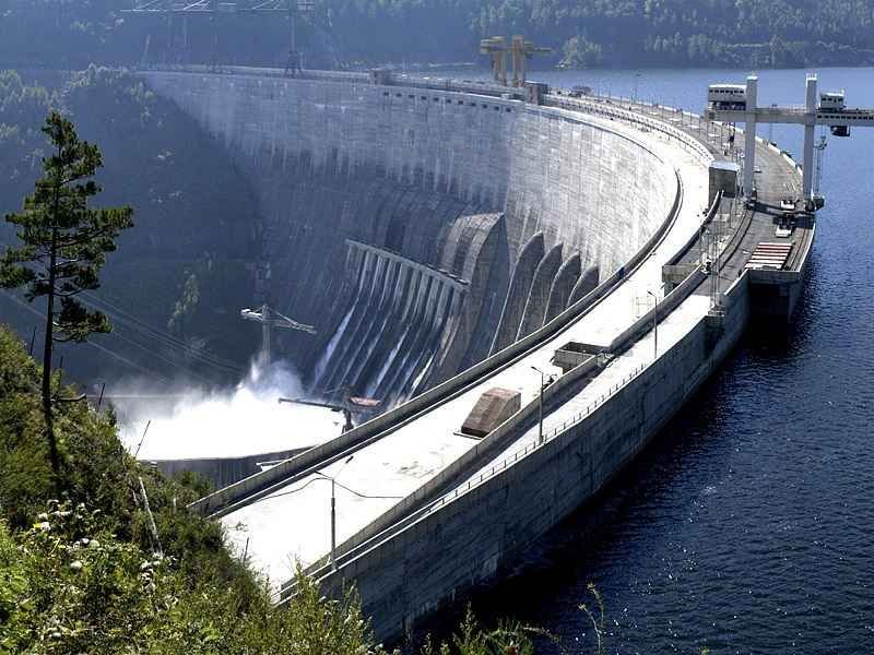 Огромный сом застрял в гребле ГЭС на Дунае. Фото