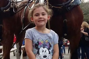 Смешное фото ребенка и улыбающейся лошади становится хитом сети