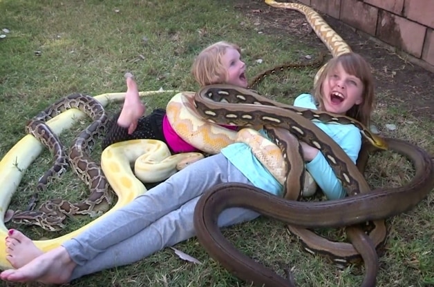 Хит сети: дети играют со змеями и варанами, которых отец принес домой. Видео