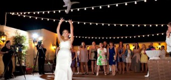 Невесты на свадьбах стали бросать котов вместо букетов. Фото
