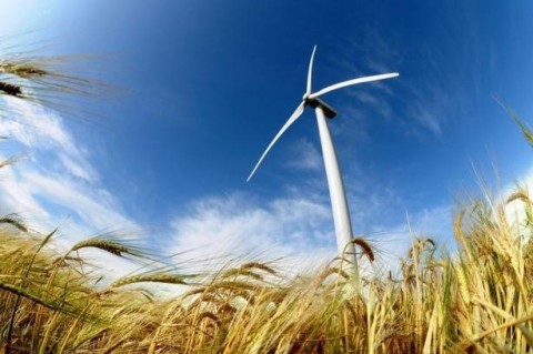 В Херсонской области за 250 млн. евро построят две ветроэлектростанции
