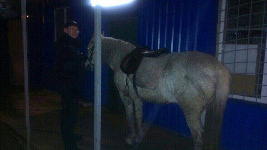 В Харькове пьяный мужчина пытался скрыться на коне от полицейских