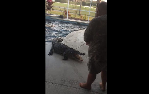 Во Флориде в бассейн американки залез трехметровый аллигатор. Видео