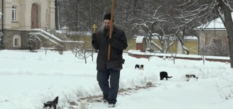 В России коты вышли на крестный ход в монастыре. Видео