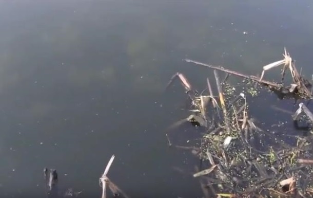 В реки Житомирской области сбросили опасные вещества с предприятий. Видео