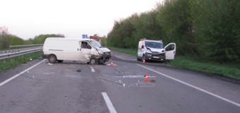 В Ровенской области из-за лося на дороге произошло смертельное ДТП. Фото