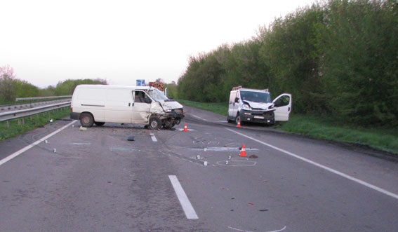 В Ровенской области из-за лося на дороге произошло смертельное ДТП. Фото