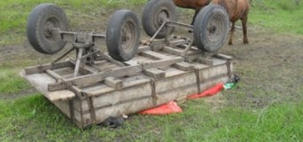 На Сумщине перевернулась повозка: погибли люди