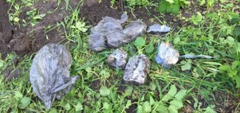 В парке Одессы обнаружили оружие и гранаты