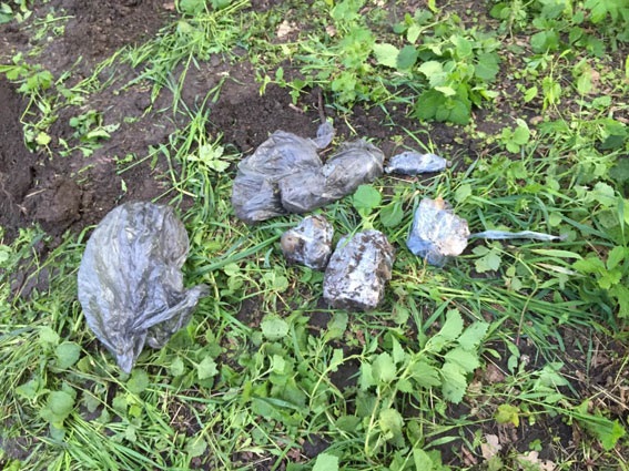 В парке Одессы обнаружили оружие и гранаты