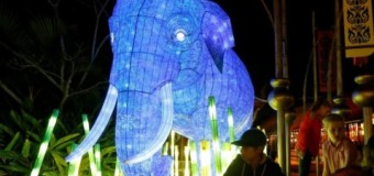 В Сиднее пройдет необычный Фестиваль света. Фото