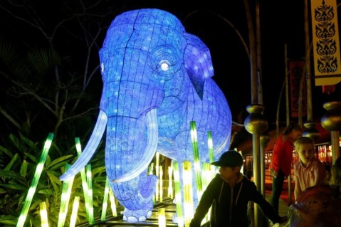 В Сиднее пройдет необычный Фестиваль света. Фото