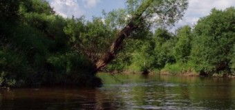 Из-за молокозавода во львовской реке вымерла рыба