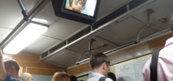 В метро Киева на экранах появились котики. Фото