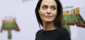 Анджелина Джоли станет преподавателем