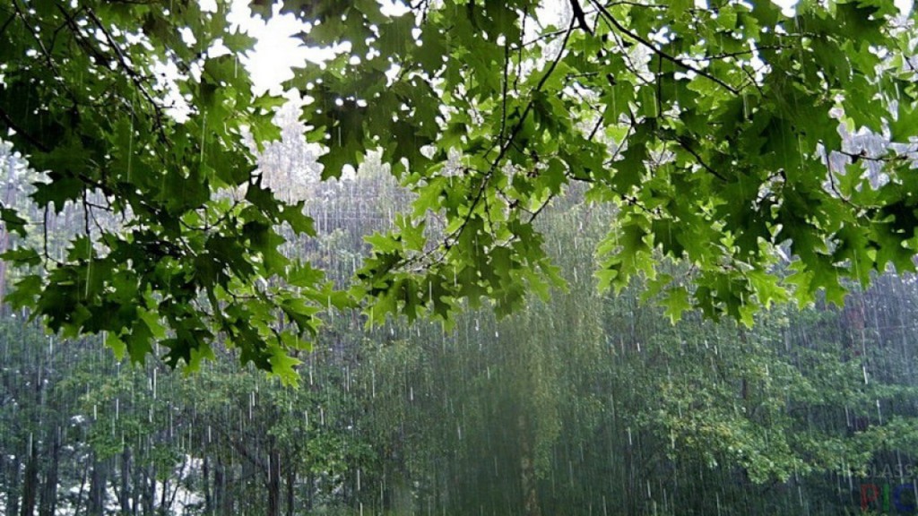 Погода в Украине: грозы, дожди и жара
