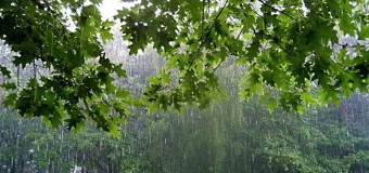 Погода в Украине: грозы, дожди и жара