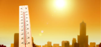 В Украине снова прогнозируют жару