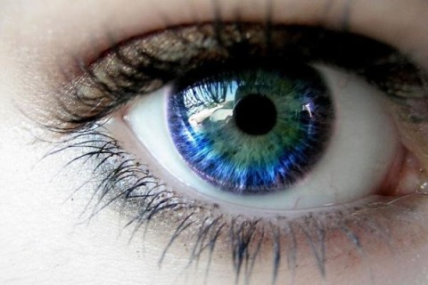 Ученые: взгляд «глаза в глаза» должен длиться около 3 секунд