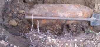 На Днепропетровщине в посадке нашли 100-килограммовую бомбу