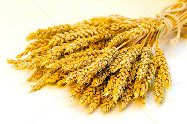 Запорожские аграрии собрали первый миллион тонн зерна