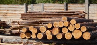На Житомищине помали нелегальных экспортеров леса
