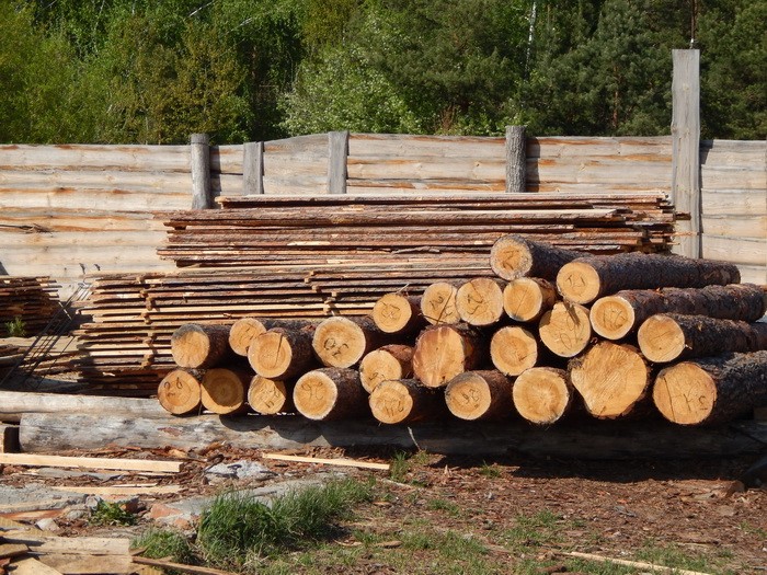 На Житомищине помали нелегальных экспортеров леса