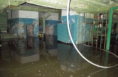 Киевский институт ветеринарной медицины затопило. Фото