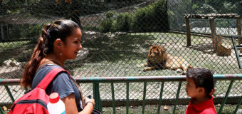 Голод: в Венесуэле убивают животных в зоопарке ради еды