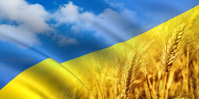 Украинцы отказываются отдавать Донбасс оккупантам. Опрос