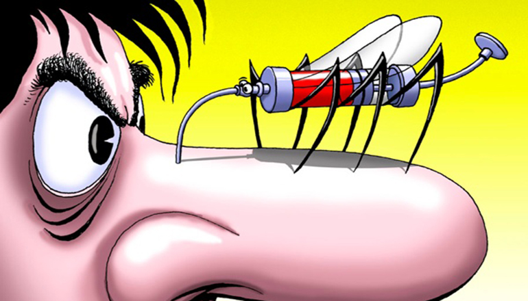 Ученые хотят уничтожить всех комаров на планете