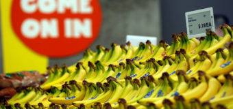 В Испании задержали партию бананов с кокаином