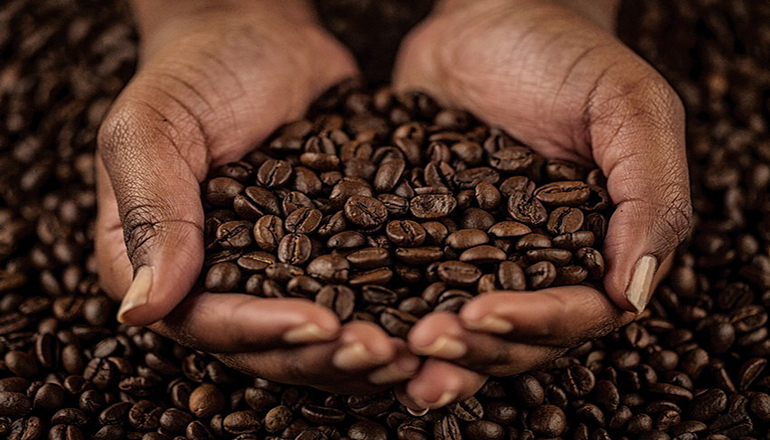 Ученые сообщили, когда на Земле закончится кофе
