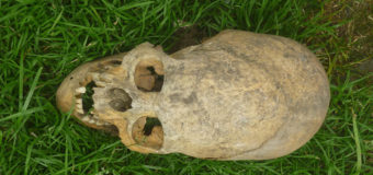 Археологи нашли черепа «длинноголовых» людей