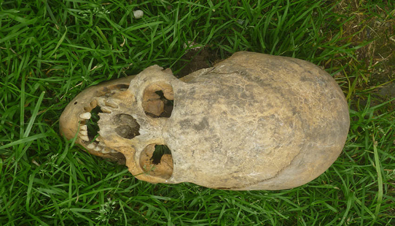 Археологи нашли черепа «длинноголовых» людей