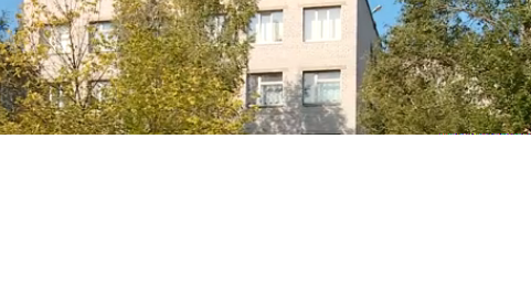 В Запорожье девушки избили одноклассницу и выложили видео в сеть