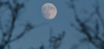 В ноябре и декабре Луна будет казаться гигантской и пугающе яркой