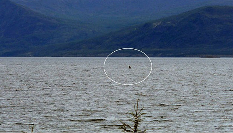 В сибирском озере рыбака шокировало громадное чудовище