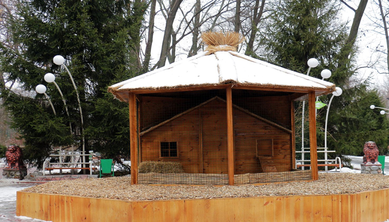 В киевском зоопарке открывают дворец для кучерявого петуха. Фото