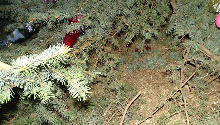 В Измаиле вандалы раскурочили праздничную шестиметровую елку