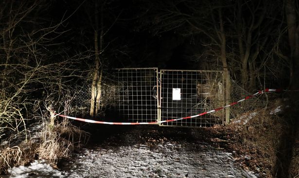 Смертельная вечеринка в Германии: отец нашел 6 трупов подростков в саду. Видео