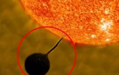 Пользователи сети обескуражены видео, на котором НЛО «заправлялся» энергией Солнца