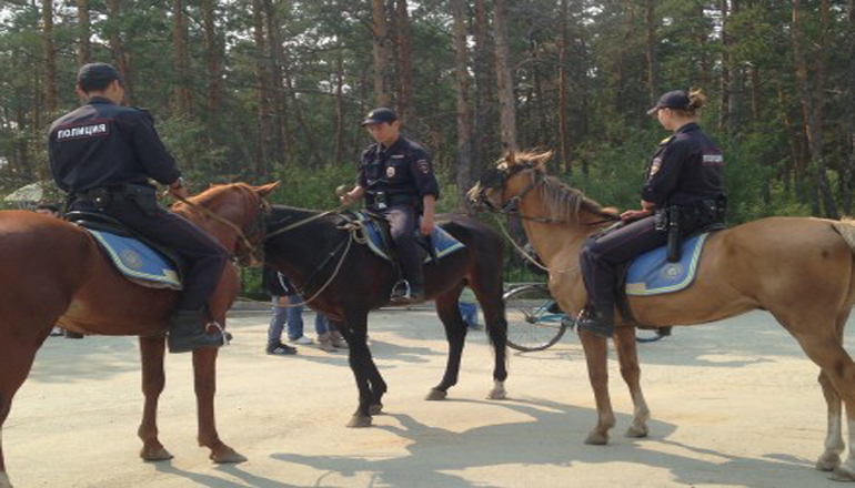 В Киеве женщину сбила патрульная на коне