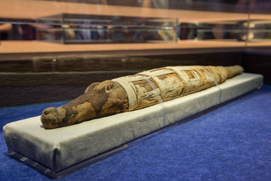 В Египте нашли мумию крокодила-мутанта