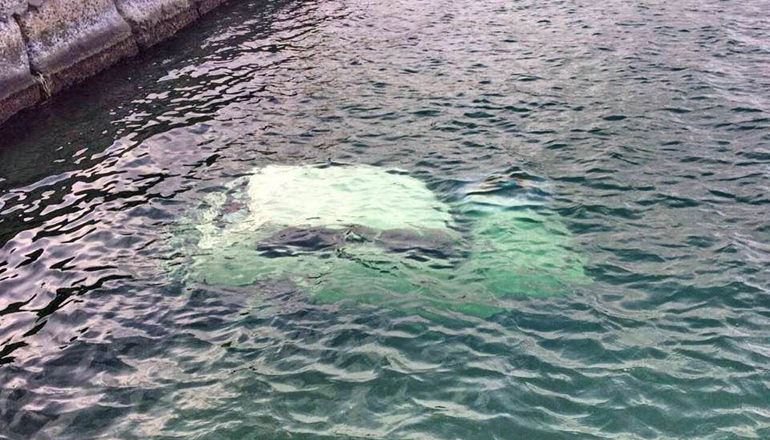 В Одессе в море нашли затонувший автомобиль. Фотофакт