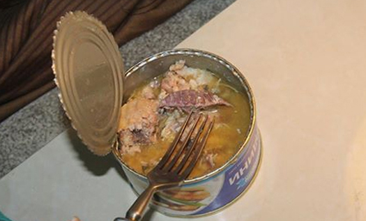 В Киеве мужчина нашел в консервах морского таракана. Фотофакт