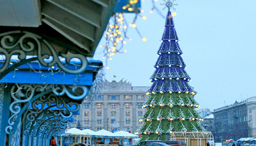 Харьковская елка признана самой высокой в Украине