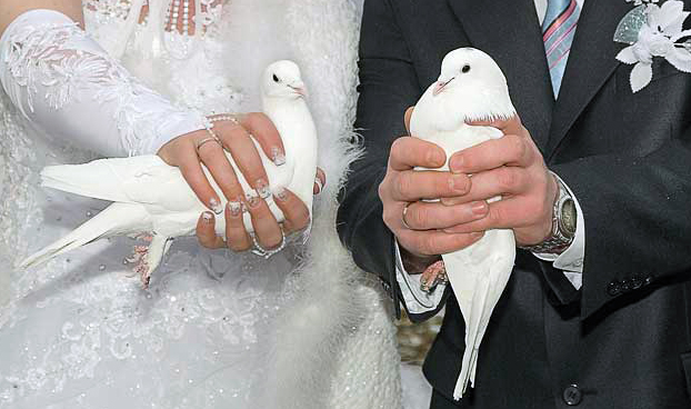 Завтра украинцы смогут пожениться за сутки